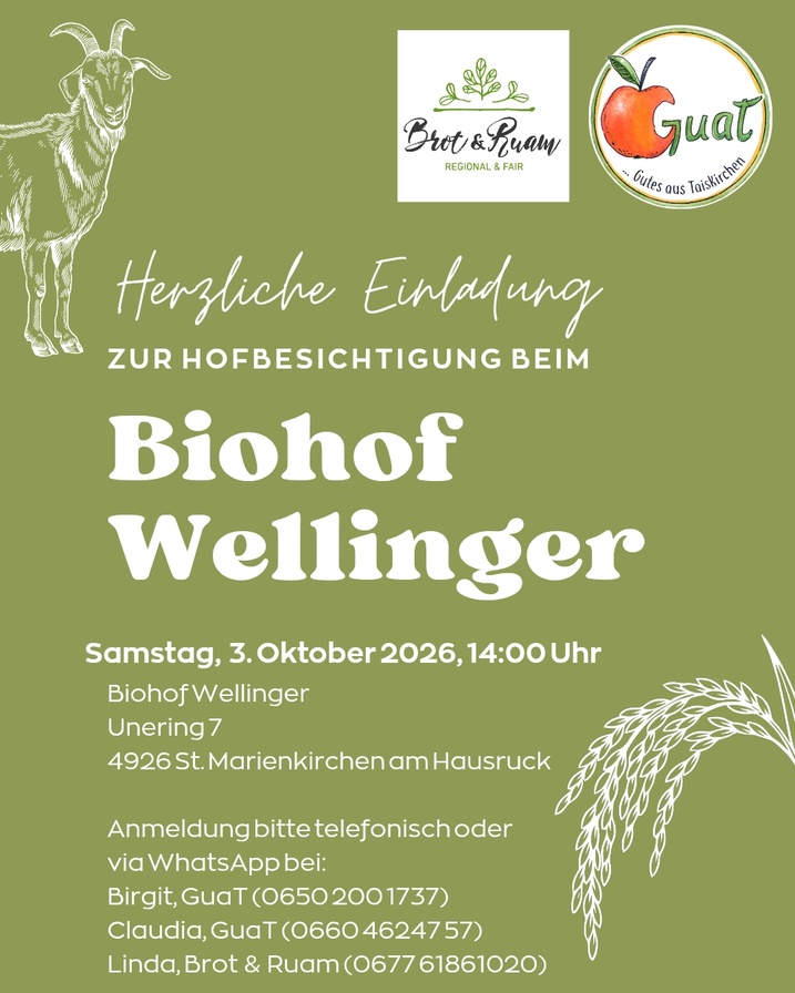 Wellinger%203.10.26.jpeg
